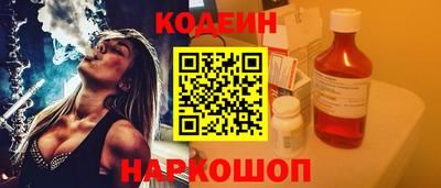 мдпв Камышлов