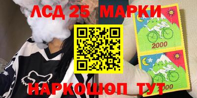 мдпв Камышлов