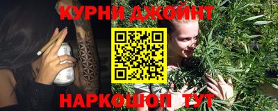 мдпв Камышлов