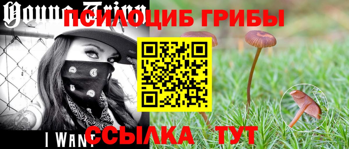 Галлюциногенные грибы мицелий Куйбышев
